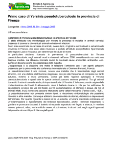 Primo caso di Yersinia pseudotuberculosis in provincia di Firenze