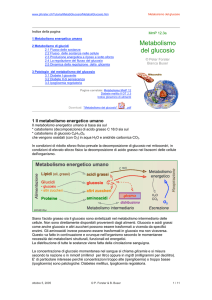 "Metabolismo del glucosio"