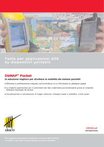 DbMAP® Pocket Tools per applicazioni GIS su