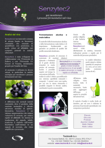 Nota applicativa vino - Tectronik Srl website