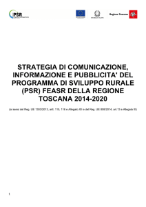 10_Strategia Informazione e Pubblicità 2014