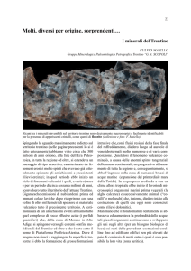 I minerali del Trentino - MUSE