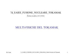 7d_eaiee_fusione_nucleare_tokamak_multi-fisiche