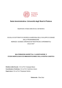 Documento PDF - Padua@Research