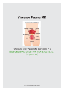Vincenzo Ferarra MD - Vincenzo Ferrara MD