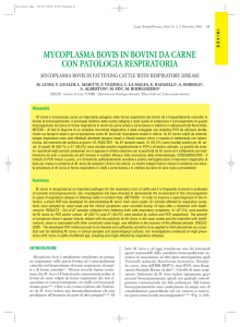 mycoplasma bovis in bovini da carne con patologia