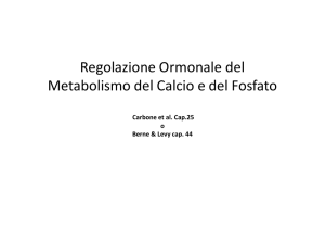 Regolazione Ormonale del Metabolismo del Calcio e del Fosfato
