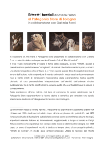 Ritratti bestiali di Saverio Polloni
