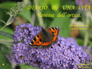 il diario della farfalla Vanessa - Istituto Comprensivo Statale Manzoni
