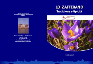 LO ZAFFERANO - Zafferano di Firenze