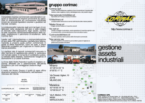 gestione assets industriali