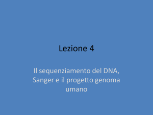 sequenza del DNA