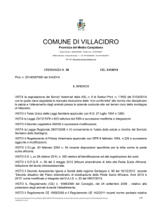 pdf - Comune di Villacidro
