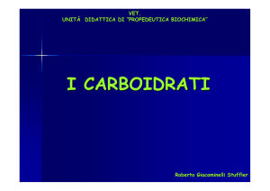 I carboidrati File - Progetto e