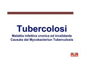 Tubercolosi