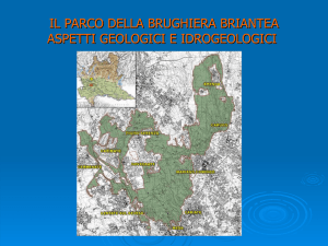 Diapositiva 1 - Parco della Brughiera Briantea