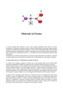 Molecole in Forma - Liceo Da Vinci Treviso