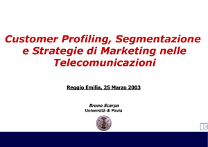 Customer Profiling, Segmentazione e Strategie di Marketing nelle