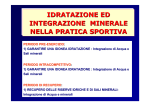 idratazione ed integrazione minerale nella pratica
