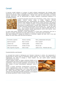 Cereali - La Naturopatia