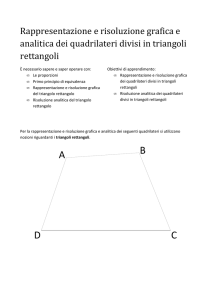 #6 - Quadrilateri divisi in triangoli rettangoli _punto 18 e 19_