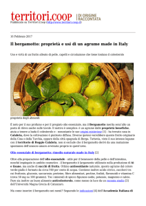 Il bergamotto: proprietà e usi di un agrume made in Italy