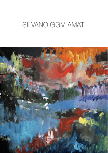 Portfolio - Silvano GGM Amati