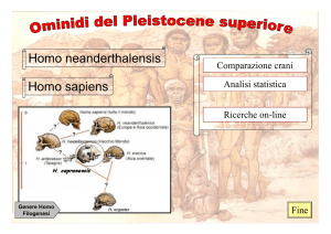 Morfologia craniale di Homo neanderthalensis Grande cranio