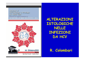 Alterazioni istologiche nelle infezioni da HCV R. Colombari