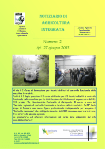 Notiziario Lavello 2 del 26 giugno 2013 in publisher
