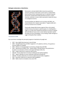 Biologia molecolare e biochimica