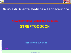 streptococchi - Sezione di Microbiologia