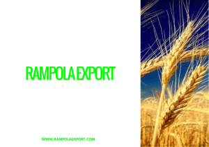 RAMPOLA EXPORT