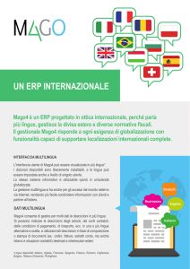 ERP internazionale - AP Consulting srl