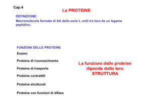 4. Le proteine File