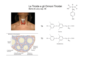 12. Tiroide e ormoni tiroidei