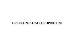 3. Lipidi complessi e lipoproteine