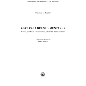 Geologia del sedimentario - Dario Flaccovio Editore su Geoexpo