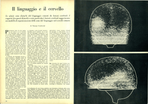 Il linguaggio e il cervello