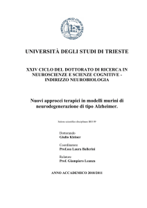 Kleiner Giulio - Tesi dottorato - OpenstarTs