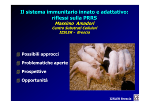 Presentazione Amadori 1 - Gruppo Veterinario Suinicolo Mantovano