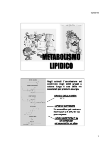 18. il metabolismo lipidico - Progetto e