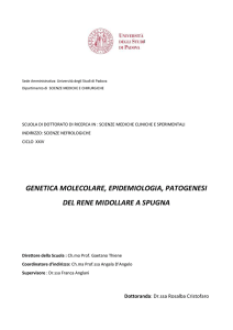 Documento PDF (Tesi di Dottorato)