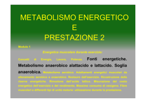 METABOLISMO ENERGETICO E PRESTAZIONE 2