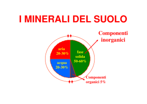 2_Soil Minerals