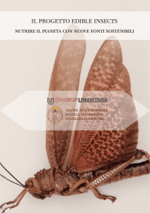 PDF IT - Edible Insects
