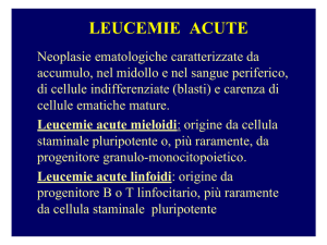 Leucemie acute mieloidi