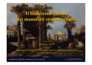 Il biodeterioramento dei manufatti storico