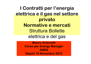 I Contratti per l`energia elettrica e il gas nel settore privato Normative