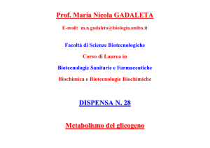 Prof. Maria Nicola GADALETA DISPENSA N. 28 Metabolismo del